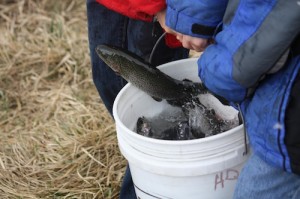 Creston National Fish Hatchery Photo