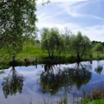 Dry Bridge Pond