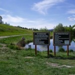 Dry Bridge Pond Photo