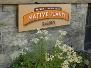 Native Plant Garden