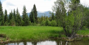 Swan River Oxbow Preserve