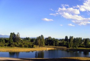 Pine Grove Pond