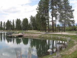 Pine Grove Pond Photo