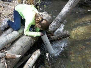 Trumbull Creek Educational Forest Photo