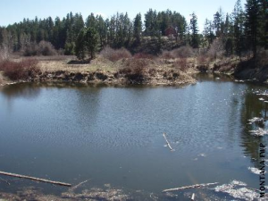 Buffalohead Park Pond