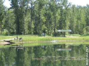 Shady Lane Pond