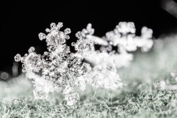 snowflake public domain image from Shenandoah National Park